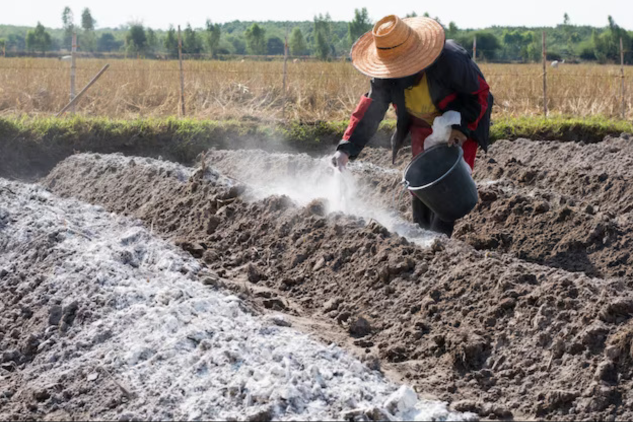 A farmer is tending to perform soil liming in a field while carrying a bucket for collecting produce.
