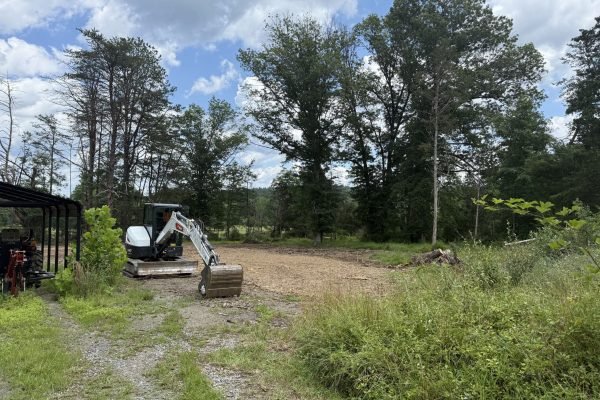 Land-Clearing1-Risen_Sons